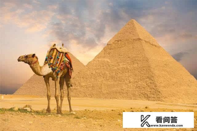 去埃及旅游要注意什么？