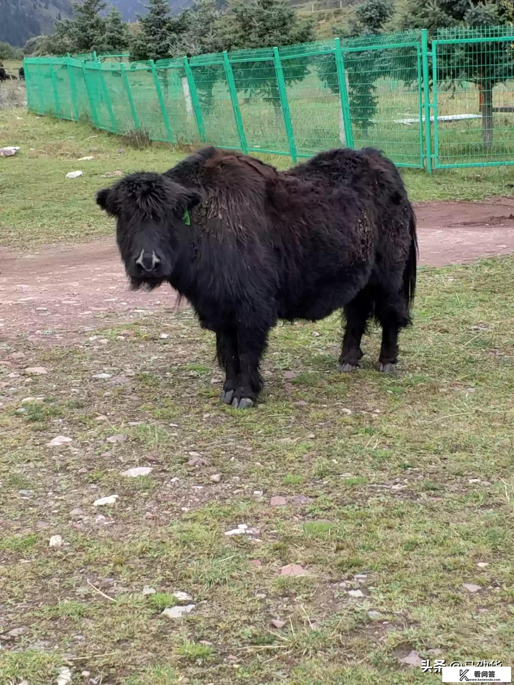 西宁住哪个位置又方便又好玩？