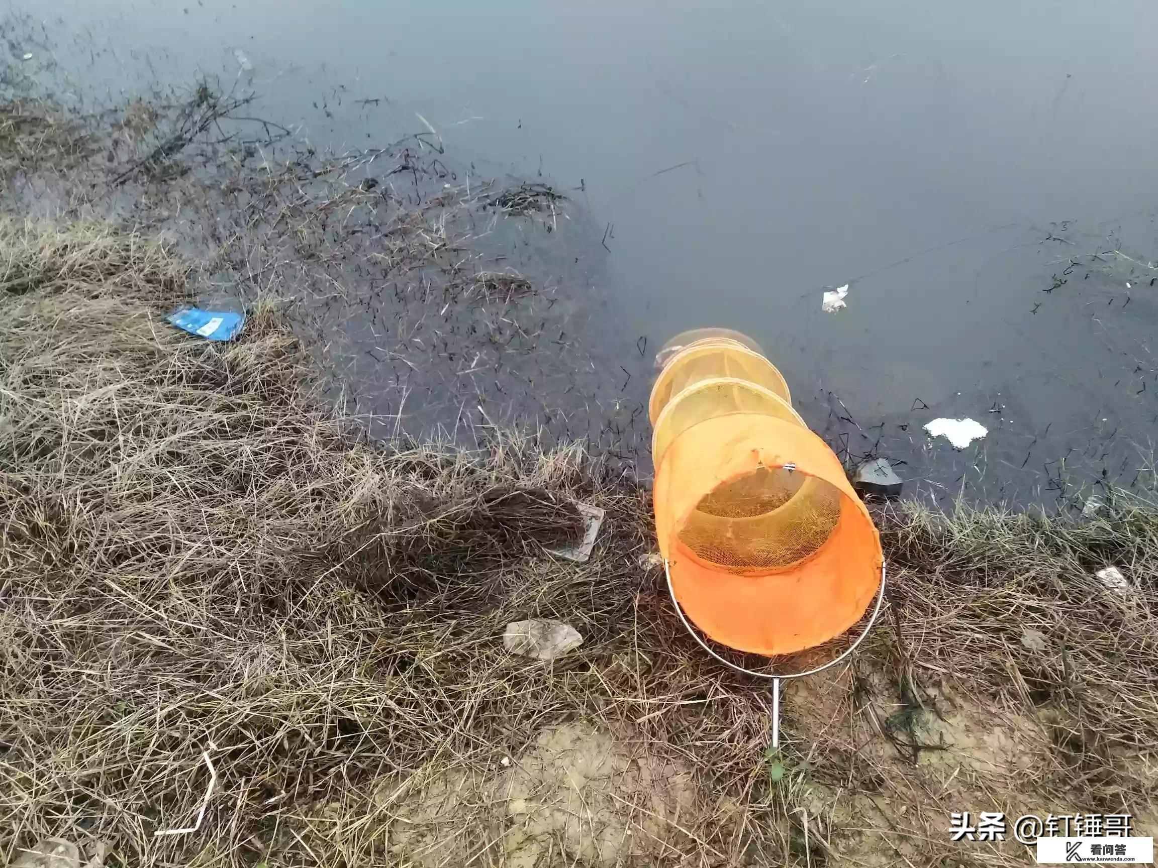 钓鲫鱼蓝鲫奶香味和蓝鲫草莓味的饵料可以搭配使用吗？