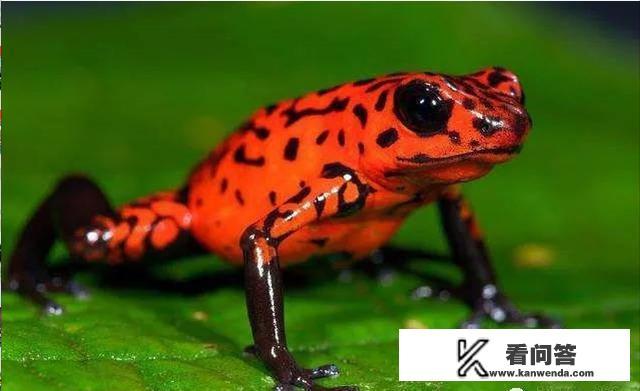 很想知道，只要确定男女关系，拉手和拥抱都不算太过分么？