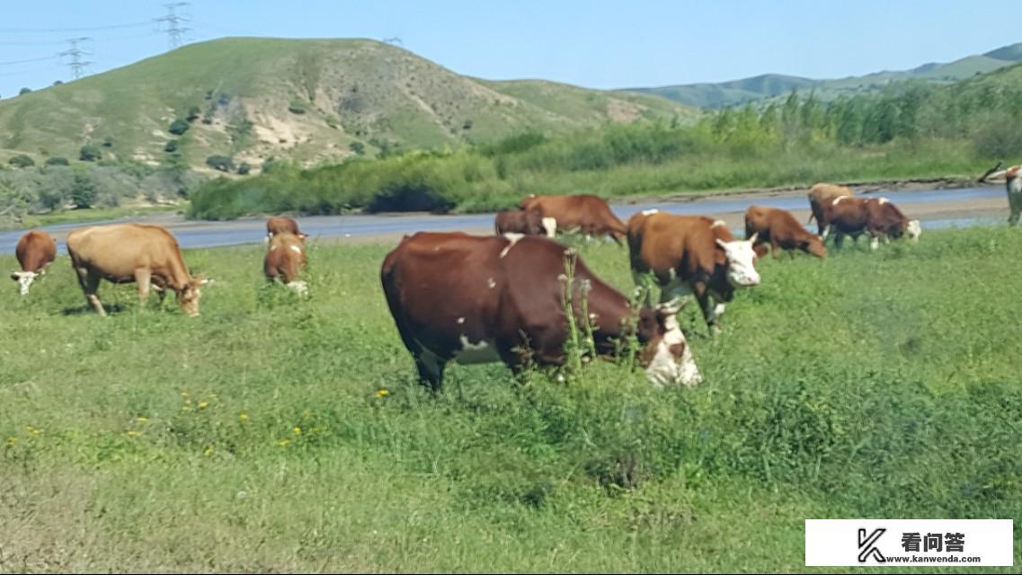 北京到锡林郭勒盟旅游最佳路线？