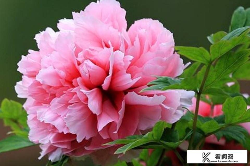 中国哪个城市景点最多?最好玩? 中国哪个城市景点最多?最好玩?