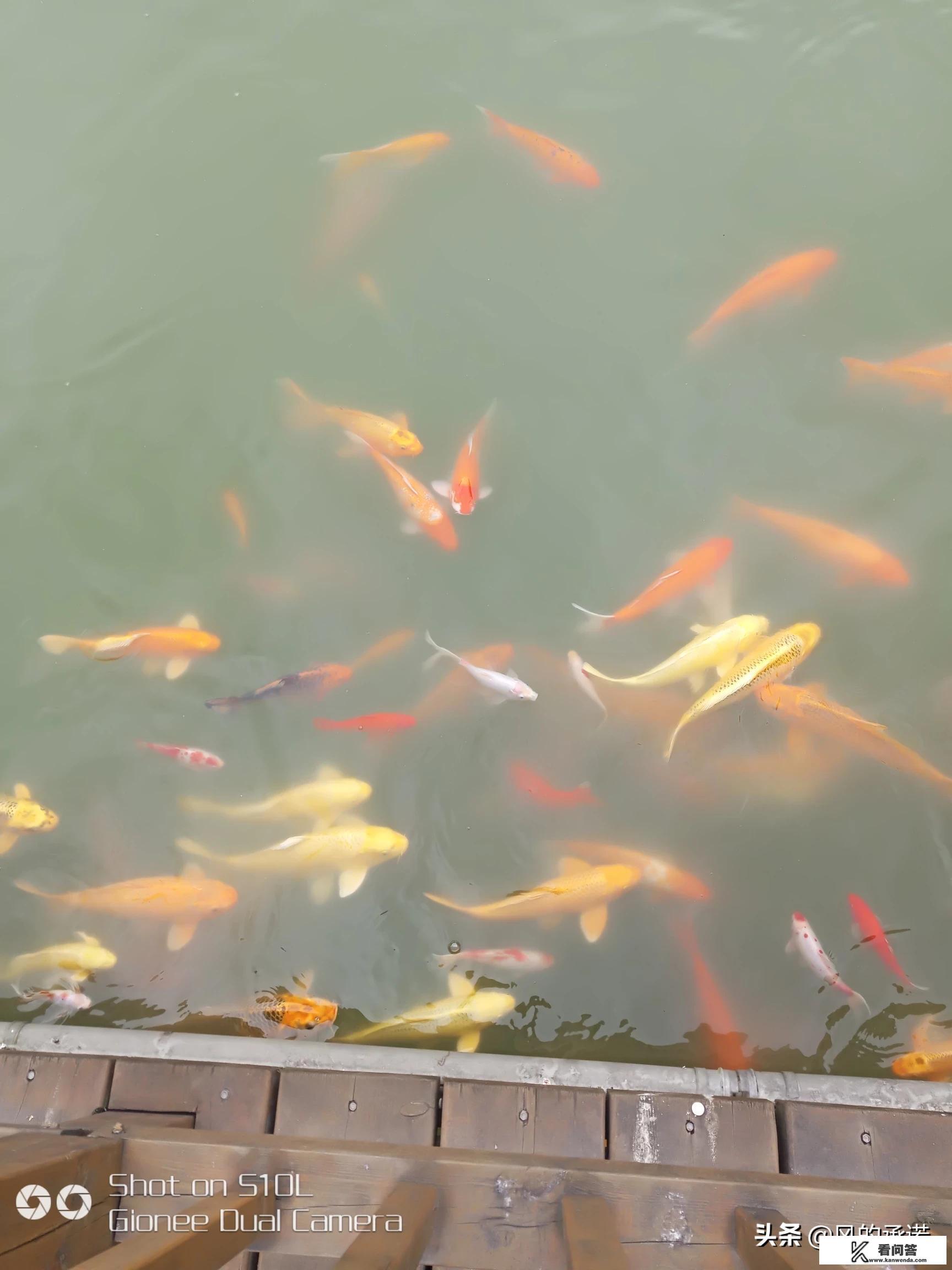 升学宴舅舅致辞简短？