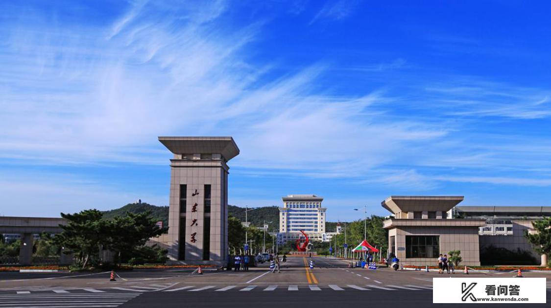 山东大学有中外合资的办学吗?有的话情况如何？