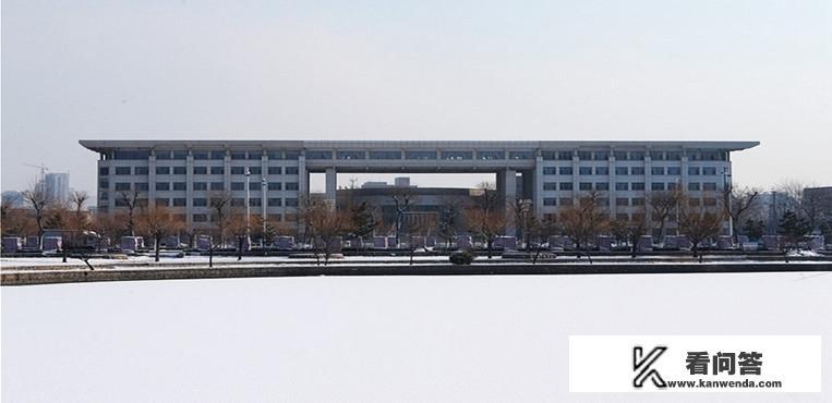 山东大学有中外合资的办学吗?有的话情况如何？