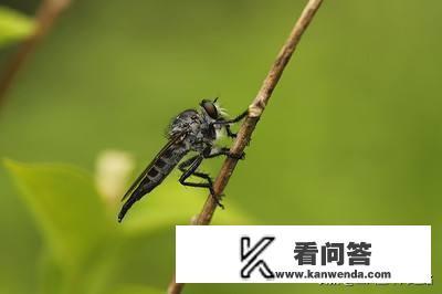 不需要爱的夏天女主叫什么？