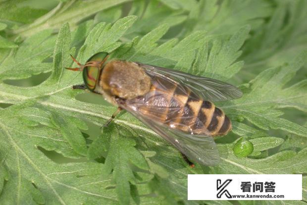 不需要爱的夏天女主叫什么？