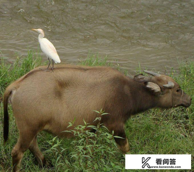 不需要爱的夏天女主叫什么？