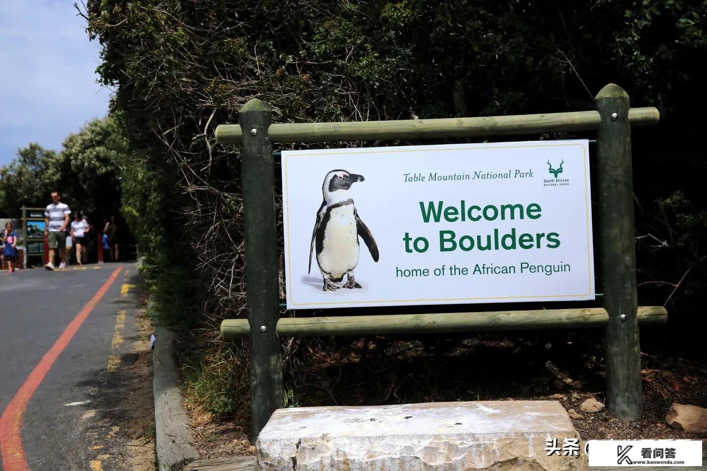 非洲旅游景点推荐？