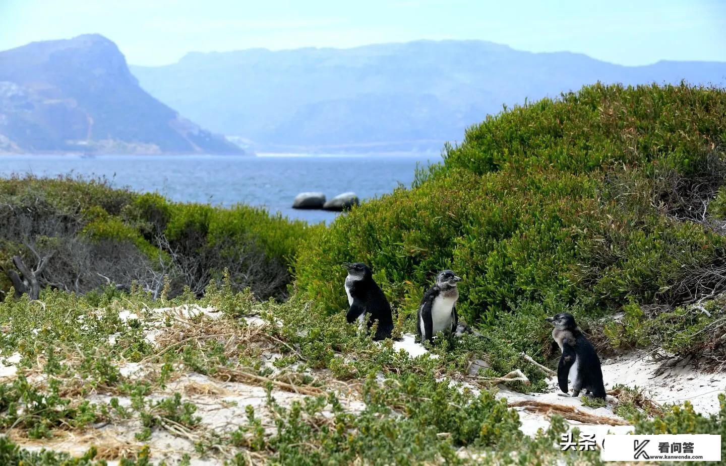 非洲旅游景点推荐？
