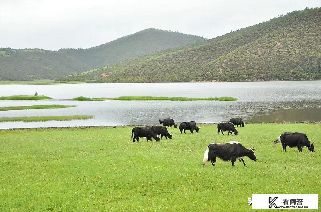 你认为香格里拉普达措国家森林公园好玩吗? 你认为香格里拉普达措国家森林公园好玩吗?