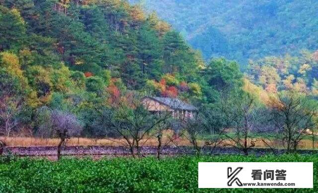 去钟祥旅游好玩吗? 去钟祥旅游好玩吗?