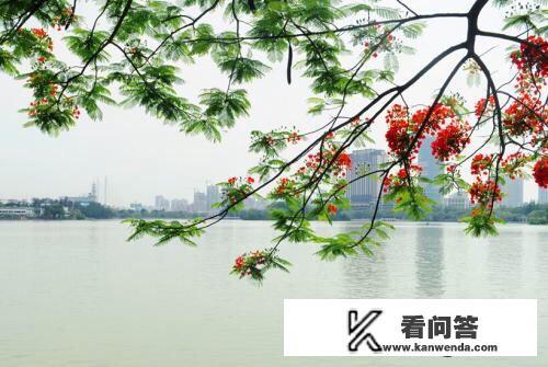 杭州的景色特点？