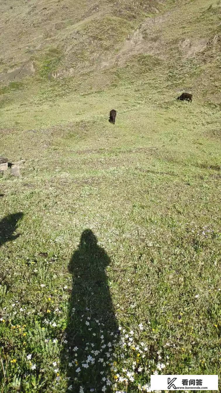 若尔盖旅游注意事项多不多啊,要准备什么吗? 若尔盖旅游注意事项多不多啊,要准备什么吗?