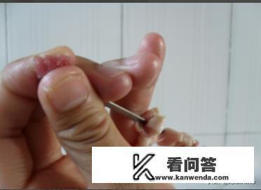 怎样自己串羊肉串？