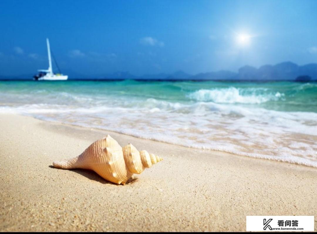 菏泽四大古镇? 菏泽四大古镇?