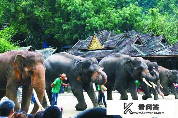 西双版纳必去的5大旅游景区？