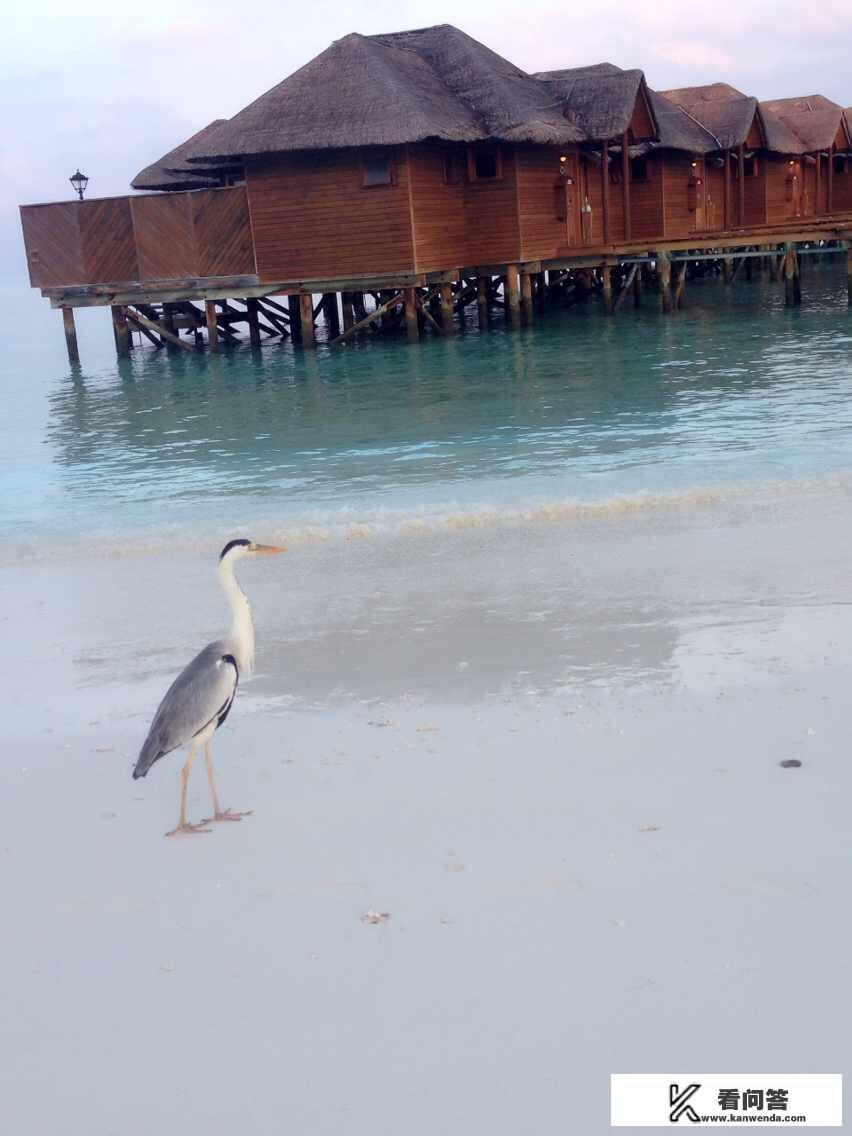 2023年去马尔代夫安全吗？