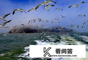 威海有哪些名不副实的知名景点？