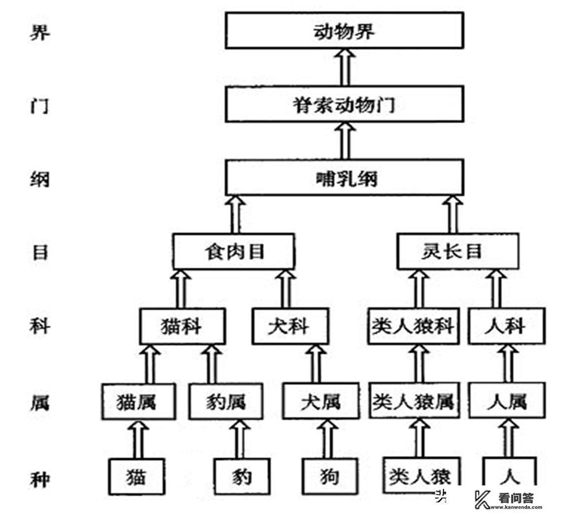 角马为什么叫角马? 角马为什么叫角马?