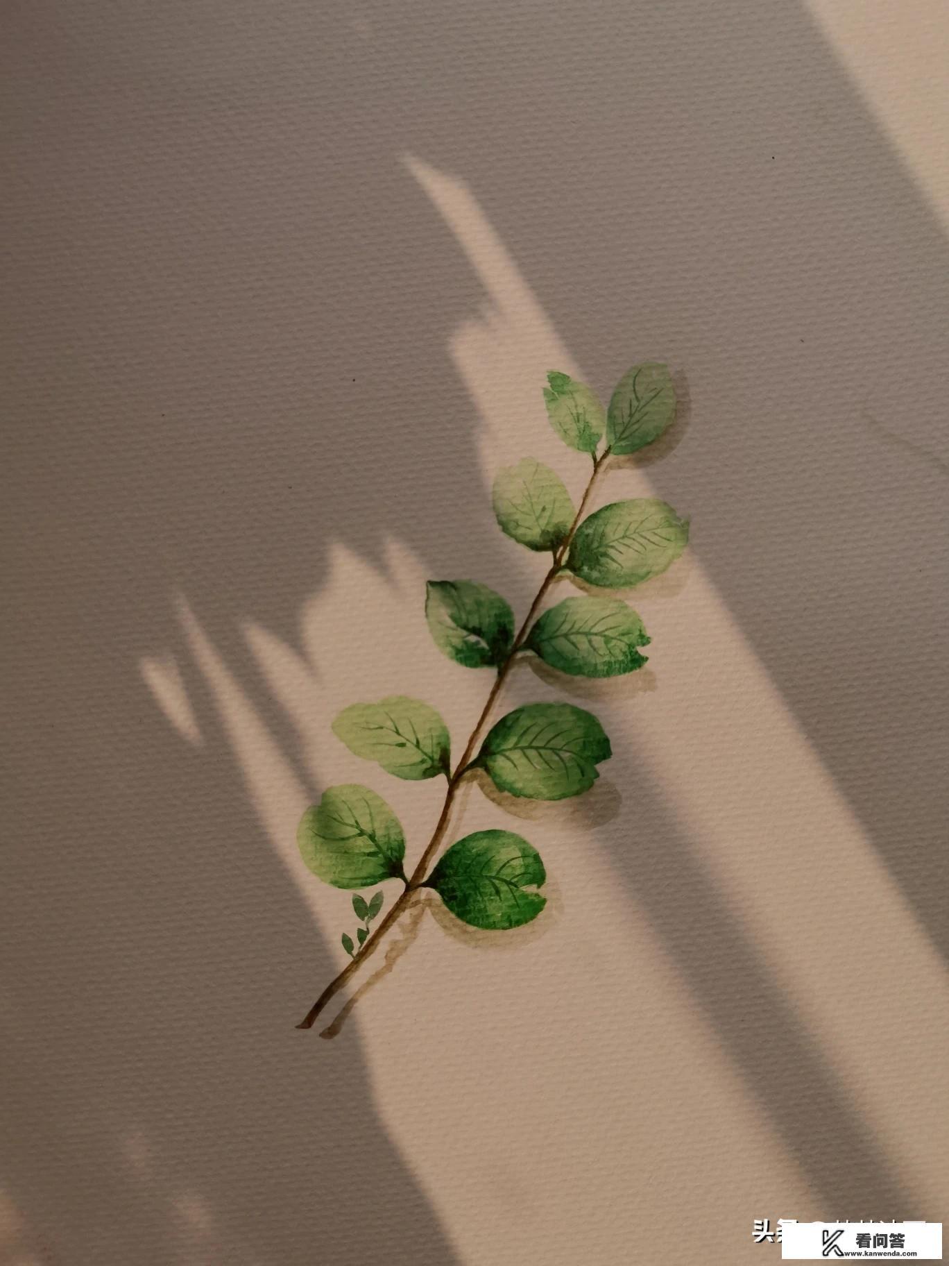 什么专业就业前景好？为什么？