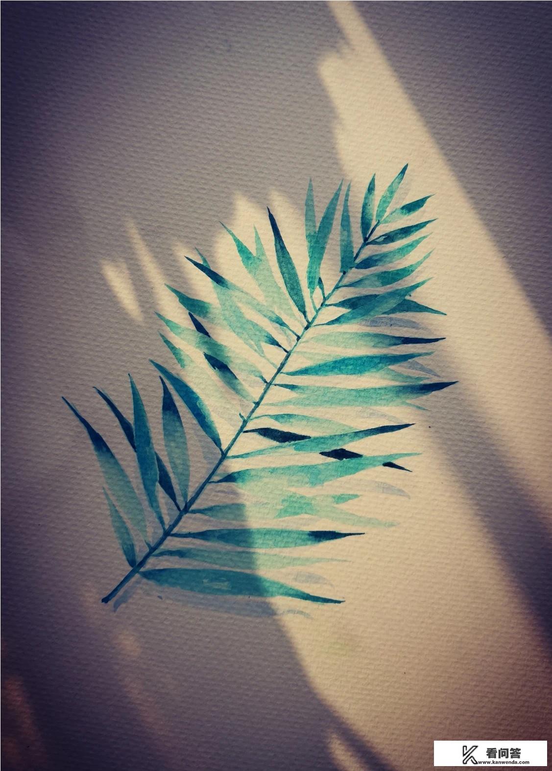 什么专业就业前景好？为什么？