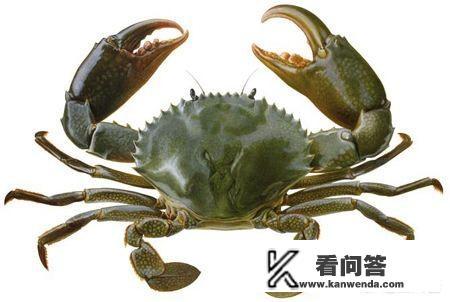 海鲜市场青蟹一斤要80-150元，青蟹为什么这么贵？黄油蟹和青蟹哪个更好吃？