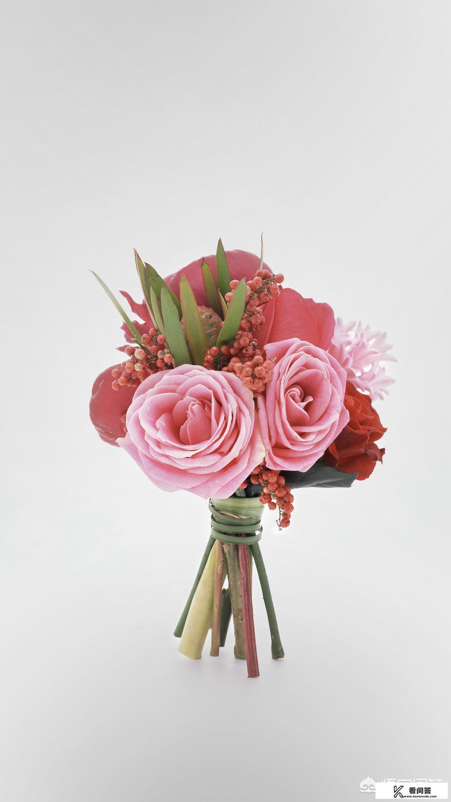 香菱详细介绍？