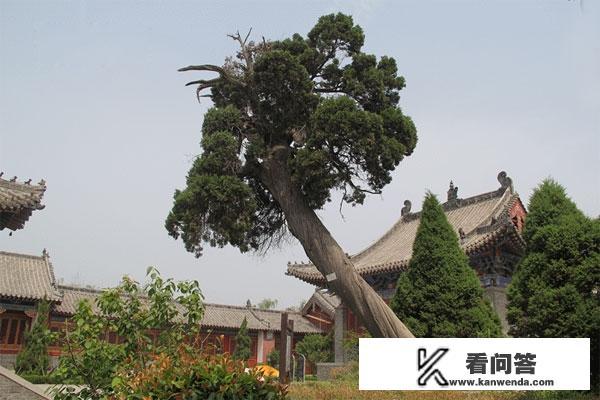 陈州为何改为淮阳?淮阳是何寓意？