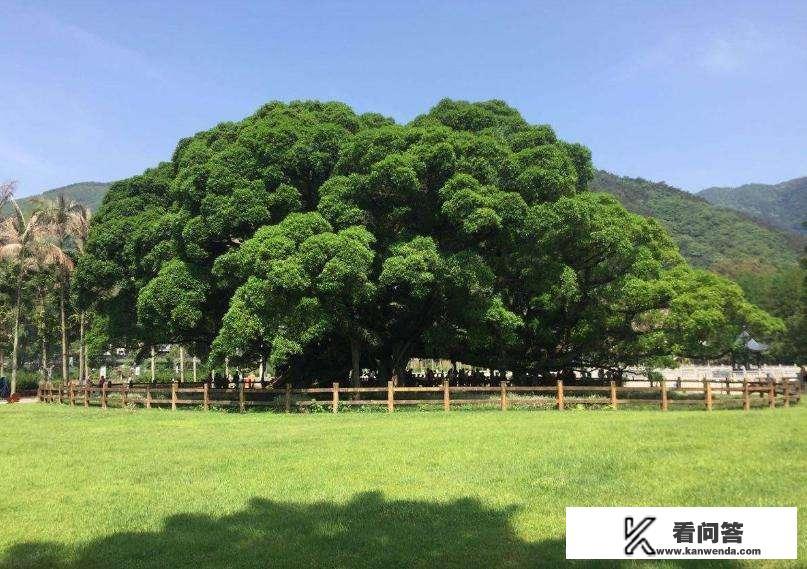 福州周边游玩的地方？