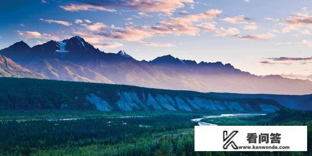 夏天的阿拉斯加蚊子会多到什么程度？