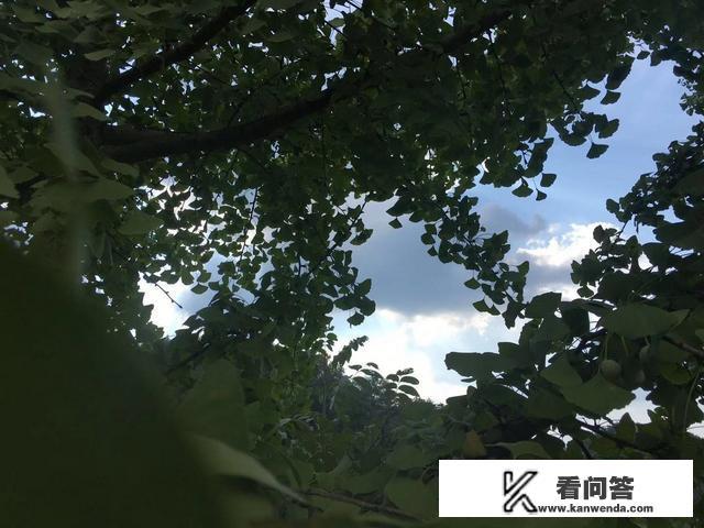 哪个城市的夏天最舒服？